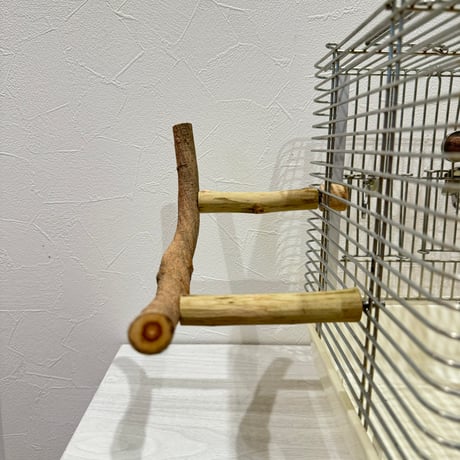 使い方いろいろ 屋上ツタパーチ【2】  横25cm 高さ10cm