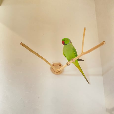 桧のピノキオの鼻 ⑤【インコ・小鳥のおもちゃ　自然木の止まり木】