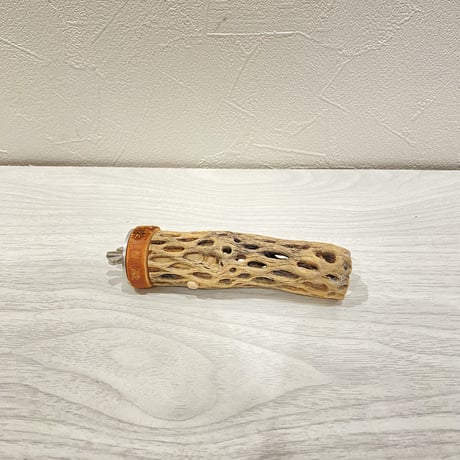 カクタスパーチ④ 極小直径2-3cm/10cm