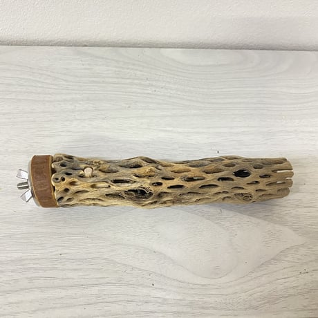 カクタスパーチ⑥ 極小サイズ 直径（約2-3cm）長さ/15cm