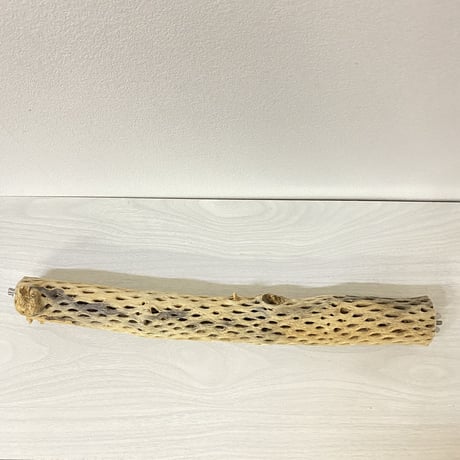 ケージサイズカクタスパーチ① 中サイズ直径約5.5cm HOEI465サイズ