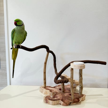 螺旋階段とツタパーチのバードアスレチック【インコのおもちゃ・自然木のとまり木】