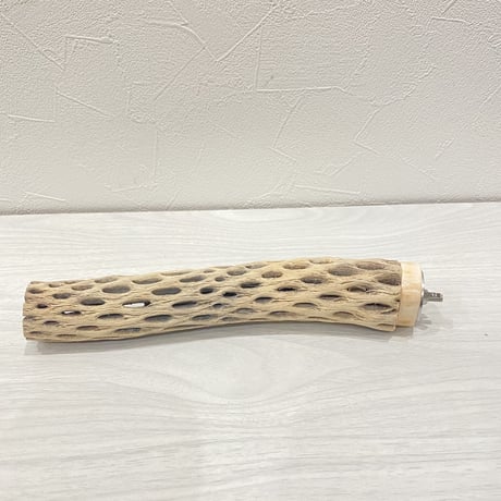 カクタスパーチ③ 小直径約3.5cm/20cm