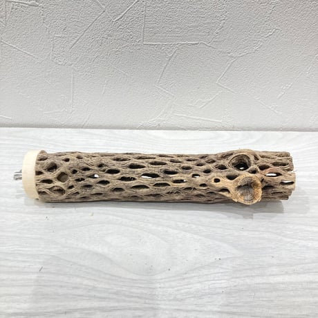 【Y様専用】カクタスパーチ　直径約3~4cm 長さ20cm
