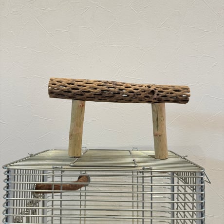 使い方いろいろ 屋上カクタスパーチ【3】 小25cm