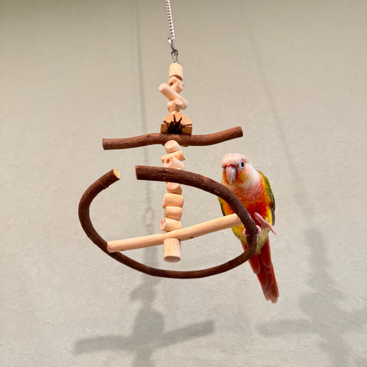 27　自然素材　ブランコ(大)インコ　バードトイ　止まり木 ゆらゆらUFOブランコ 【自然木の止まり木 インコのおもちゃ】 | 自然木
