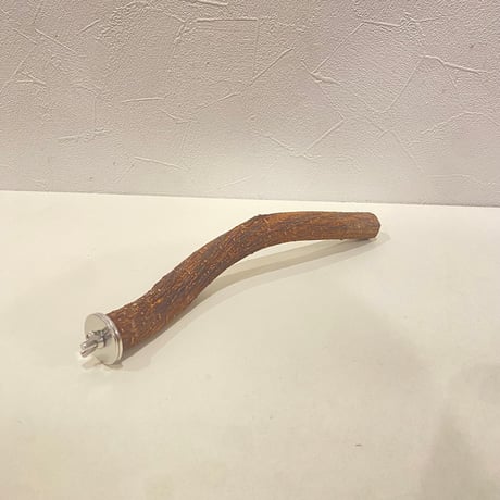 自然木（ツタ）パーチ⑨直径約2.3cm/長さ24cm【インコ 天然木の止まり木】