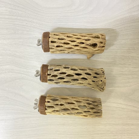 【もぅこ様専用】カクタスパーチ10cm×3本