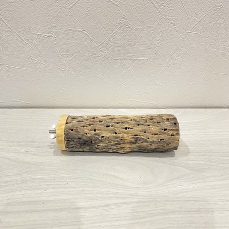 カクタスパーチ【9】中直径約5.5cm/15cm