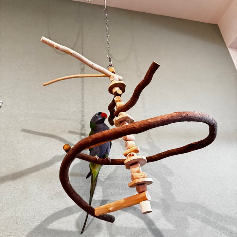 コトリのなる木カスタム つり下げゆらゆらバードアスレチック【インコ