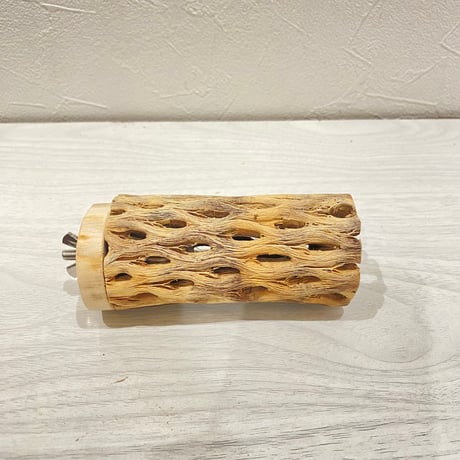 カクタスパーチ【5】直径4~5cm/長さ10cm