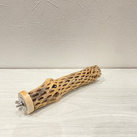 カクタスパーチ⑬ 小サイズ長さ20cm