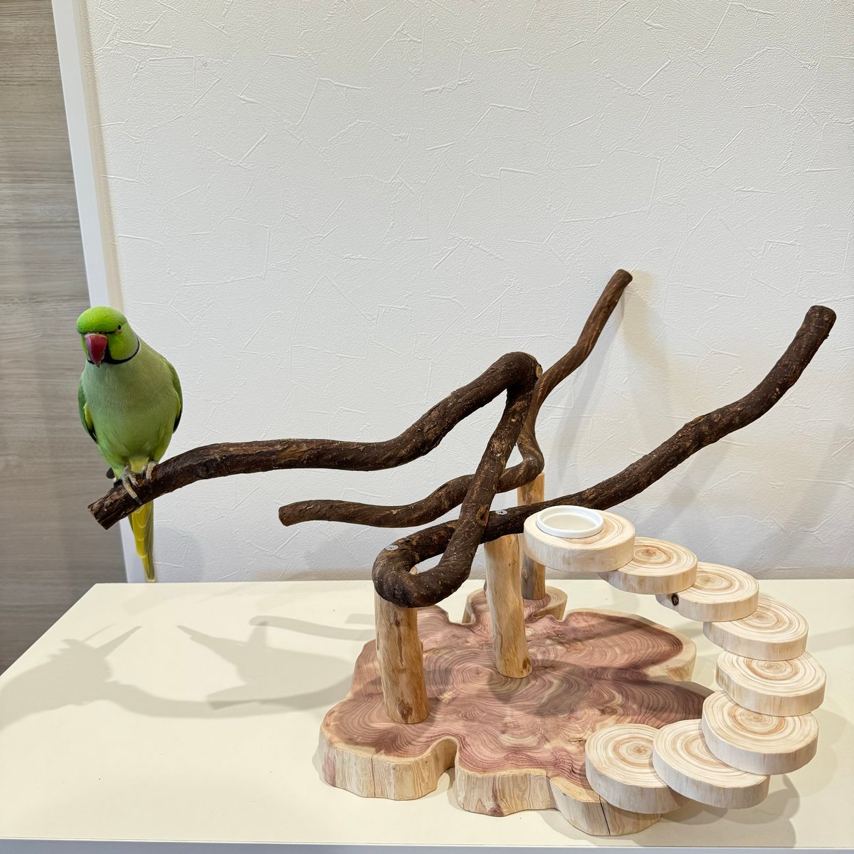 自然木（ツタ）と螺旋階段のバードアスレチック | 自然木の鳥用品 鳥豆