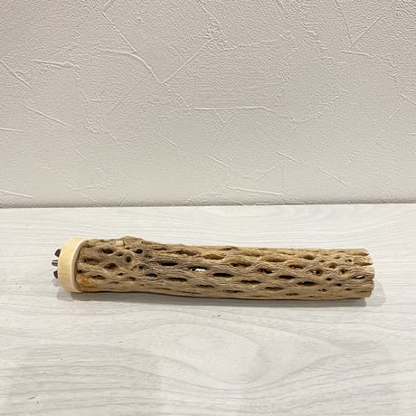 カクタスパーチ【3】小 直径約3-4cm/20cm