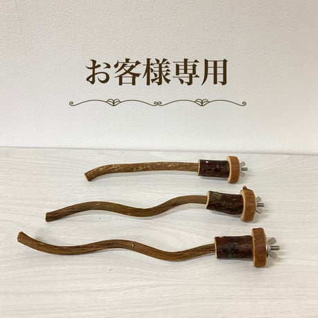 【ピーチョコたまっち様専用】自然木（ツタ）パーチ直径0.8〜1cm／長さ15.18.20cm