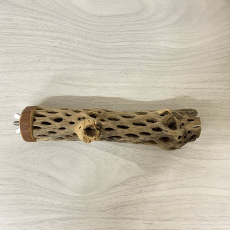 カクタスパーチ 小サイズ⑤ 直径（約3-4cm）長さ/16cm