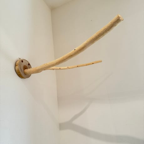 桧のピノキオの鼻 ⑫