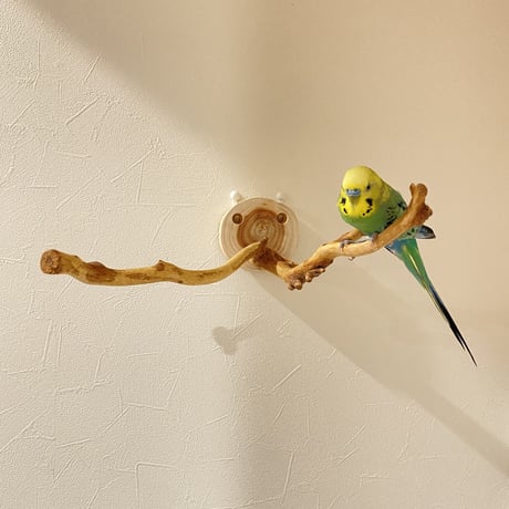 ピノキオの鼻 ⑤