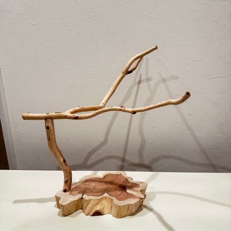 貝塚伊吹のスタンドパーチ 【自然木 とまり木 】
