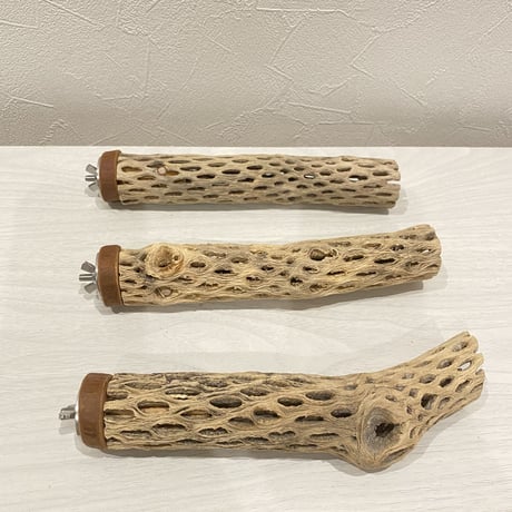 【kanimiso様専用】カクタスパーチ 小20cm×3
