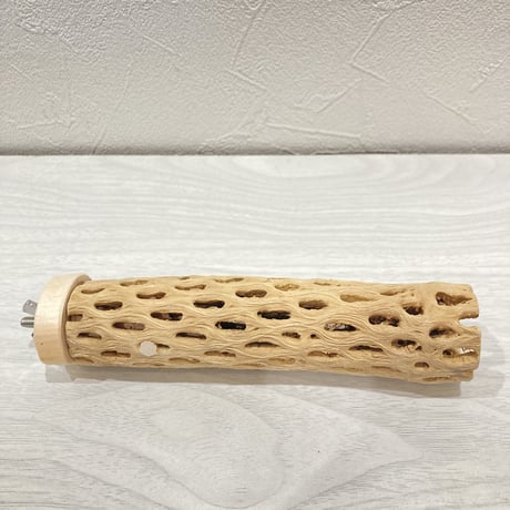 カクタスパーチ【8】小 直径約3.5cm 長さ15cm