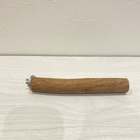 自然木（ツタ）パーチ④  中型・大型用