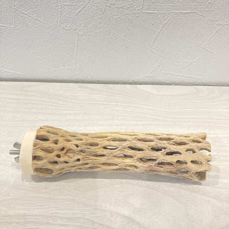 カクタスパーチ⑩  小　直径4cm前後 長さ15cm
