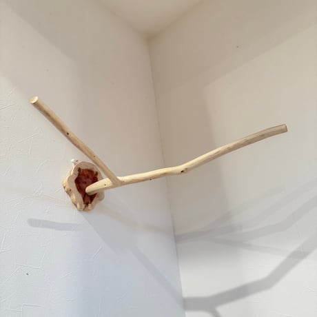 桧のピノキオの鼻 ⑥
