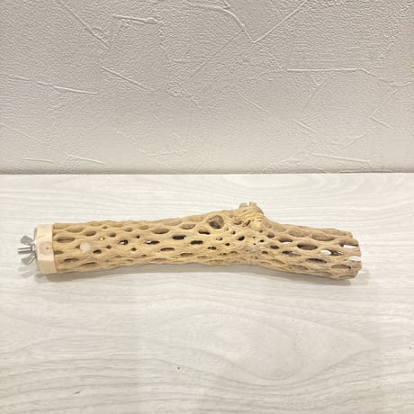 カクタスパーチ小㉓ 直径約3~4cm 長さ20cm