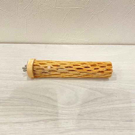 カクタスパーチ極小⑥ 2-3㎝長さ15cm