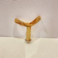 自然木（ツタ皮無し）のT字パーチ HOEI35用
