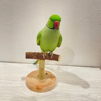 自然木(ツタ)のスタンドパーチ①   パーチ長さ12cm／高さ約10.5cm