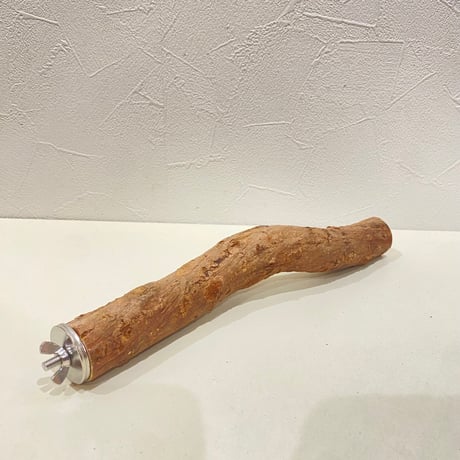 自然木（ツタ）パーチ⑪  直径約3cm/長さ25cm