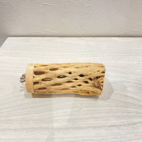 カクタスパーチ【8】直径4~5cm/長さ10cm