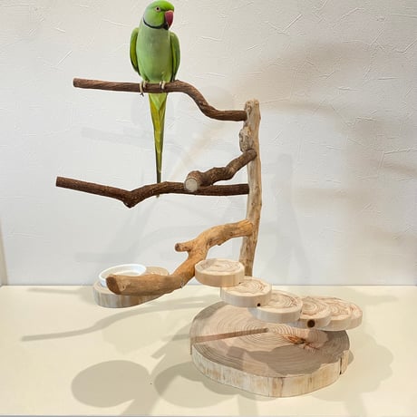 自然木（ツタ・貝塚伊吹）と螺旋階段のバードアスレチック【インコのおもちゃ・自然木のとまり木】