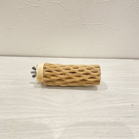 カクタスパーチ【4】 小直径3.5cm/10cm