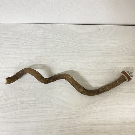 自然木（ツタ）殿様パーチ①　直径1.5cm 長さ25cm