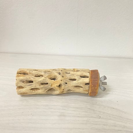 カクタスパーチ極小サイズ3本セット 直径（約2-3cm）長さ：10.5cm／8.5cm／9.5cm　⑬