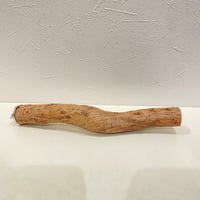 自然木（ツタ）パーチ⑪  直径約3cm/長さ25cm