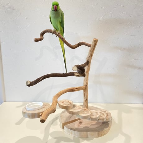 自然木（ツタ・貝塚伊吹）と螺旋階段のバードアスレチック【インコのおもちゃ・自然木のとまり木】