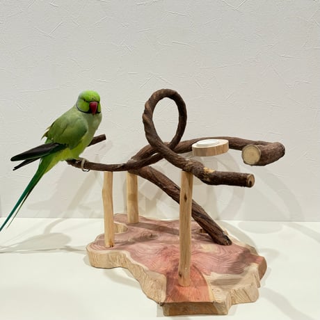 ツタのバードアスレチック【インコのおもちゃ・自然木のとまり木】