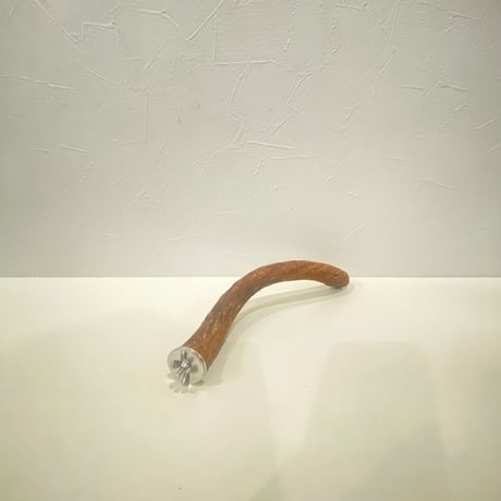 自然木（ツタ）パーチ 直径約2.3cm/長さ22cm