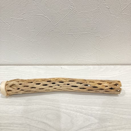 カクタスパーチ極小②　直径約2~3cm 長さ20cm