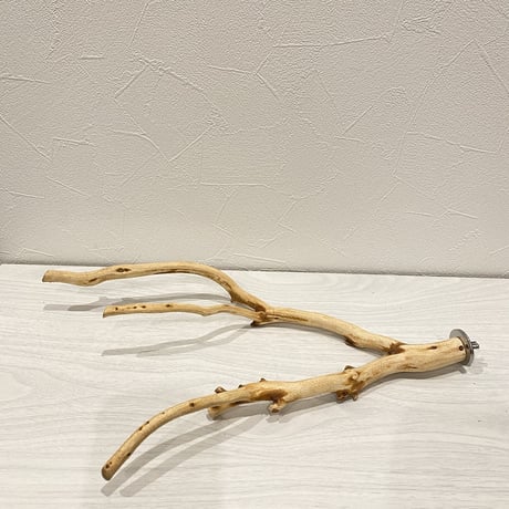 自然木（カイヅカイブキ）のパーチ① 　直径0.7～2cm／長さ32cm