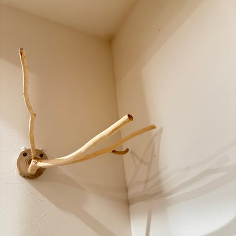桧のピノキオの鼻 ④  【自然木 天然木 止まり木 インコ オウム】