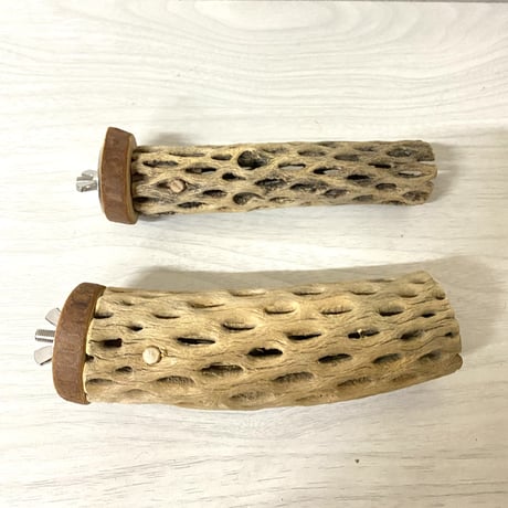 【sora.teto様専用】カクタスパーチ小直径（3～4cm）／13cm
