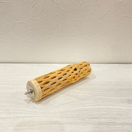 カクタスパーチ⑥ 小サイズ長さ15cm