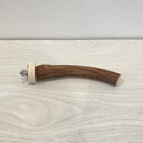 自然木（ツタ）パーチ④  直径2cm 長さ15cm