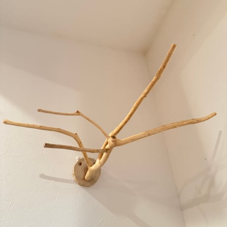 槇（マキ）のピノキオの鼻【自然木の止まり木 インコのおもちゃ】