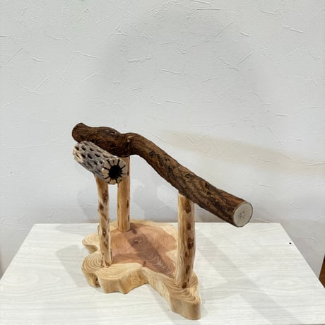 ツタとカクタスのスタンドパーチ【A】